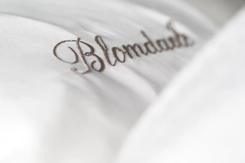 B&B Blomdaele Brugge Belgium